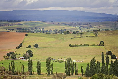 Bathurst Goldfields Motel - Hotel QLD 2