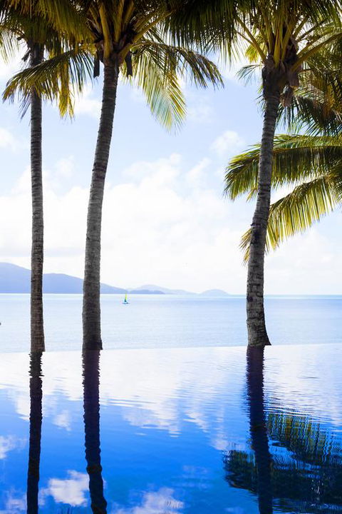 Beach Club - Hotel QLD 3