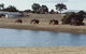 Redtail Ridge Cottages - thumb 2