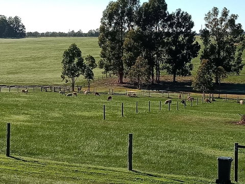Redtail Ridge Cottages - Hotel QLD 1