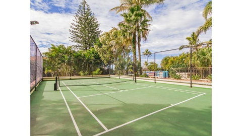 Royal Palm 19 - Hotel QLD 3