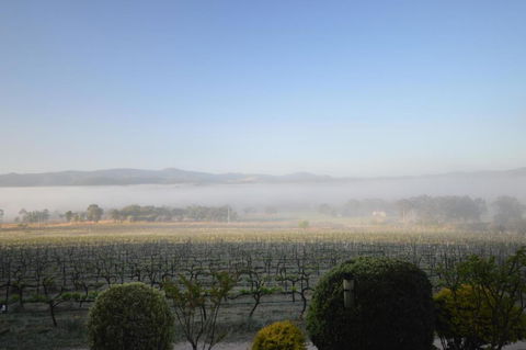 Sancerre Estate - Hotel QLD 3