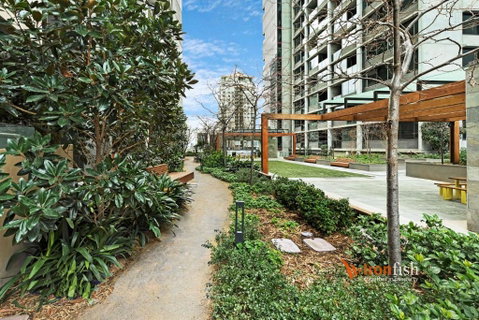 Sakura Apartment - Hotel QLD 3