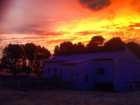 Beggs Farmstay B&B - Hotel QLD 1