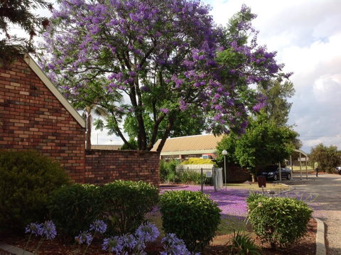 Belvoir Village Motel & Apartments Wodonga - Hotel QLD 0