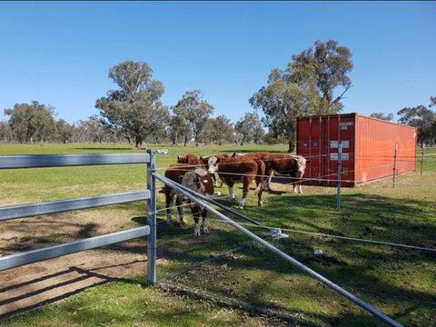 Big Tiny Jindera Park - Hotel QLD 2