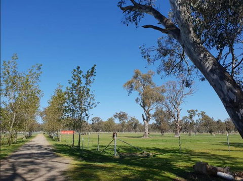 Big Tiny Jindera Park - Hotel QLD 3