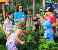 Book Lemon Tree Passage Accommodation Vacations Hotel QLD Hotel QLD