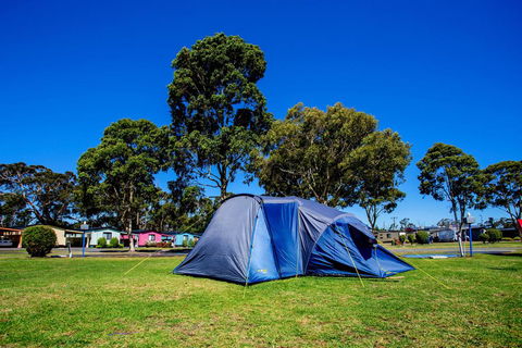 BIG4 Traralgon Park Lane Holiday Park - Hotel QLD 2