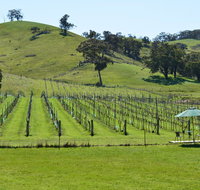 Blue House at Mountainside Wines - Hotel QLD