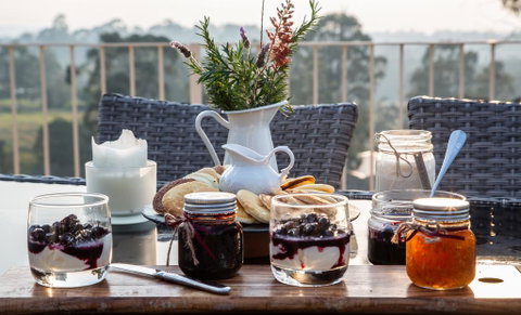 Blueberry Hills On Comleroy - Hotel QLD 2