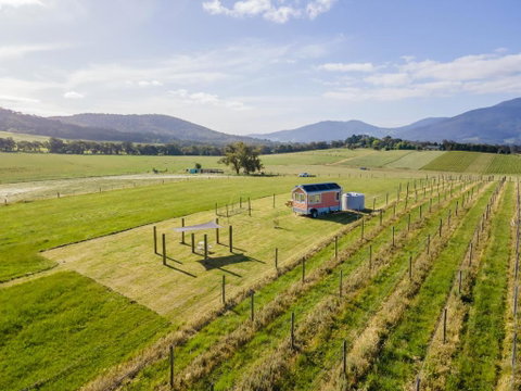 Warburton Tiny House - Tiny Stays - Hotel QLD 2