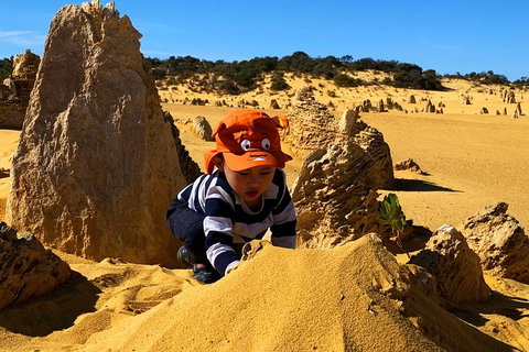 Perth Kids Explorer (Private) Day Tour - Hotel QLD 3