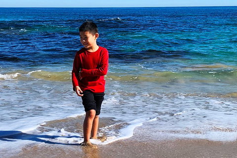 Perth Kids Explorer (Private) Day Tour - Hotel QLD 4