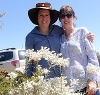 Spring Wildflower Private Day Tours - Hotel QLD