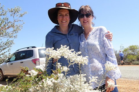 Spring Wildflower (Private) Day Tours - Hotel QLD 0