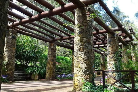 Spring Wildflower (Private) Day Tours - Hotel QLD 2