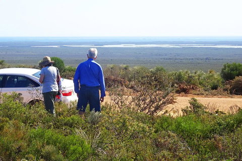 Spring Wildflower (Private) Day Tours - Hotel QLD 3