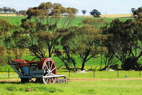Spring Wildflower (Private) Day Tours - Hotel QLD 4