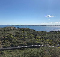 Penguin Island And Fremantle - Canoe Chocolate  Coffee - Hotel QLD