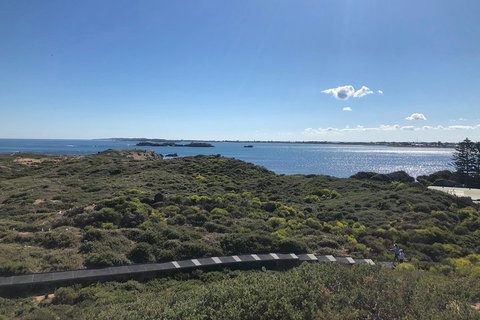 Penguin Island And Fremantle - Canoe, Chocolate & Coffee - Hotel QLD 0