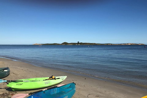 Penguin Island And Fremantle - Canoe, Chocolate & Coffee - Hotel QLD 2