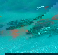 Private Tangalooma Wrecks Tour - Hotel QLD