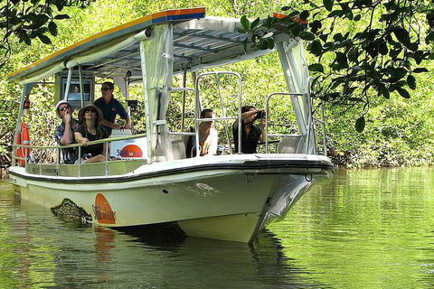 5-Day Best Of Cairns With Daintree, Kuranda, And Great Barrier Reef - Hotel QLD 1