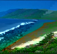Cairns Reef and Rainforest Combo Daintree Rainforest and the Great Barrier Reef - Hotel QLD