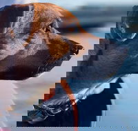 1.5-Hour Boat Rental in Melbourne - Hotel QLD