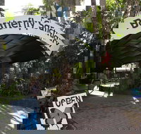 Kuranda Day Trip from Port Douglas upgrade to Skyrail  Scenic train available - Hotel QLD