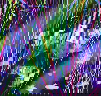 Infinity Attraction - Admission - Hotel QLD