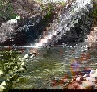 Litchfield National Park and Jumping Crocodile Cruise - Hotel QLD