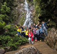 5-Day Lap of Tasmania Tour from Hobart flexible ticket - Hotel QLD