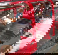 Full-Day Private Blue Mountains Tour with River Cruise - Hotel QLD