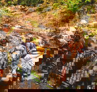 Full-day Springbrook National Park Tour from the Gold Coast - Hotel QLD