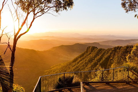 O'Reilly's & Lamington National Park Incl. Alpaca Farm + Vineyard - Hotel QLD 0