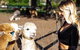 O'Reilly's & Lamington National Park Incl. Alpaca Farm + Vineyard - thumb 3