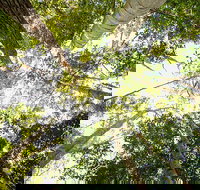 Fraser Island 4WD Tour from Noosa - Hotel QLD