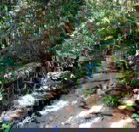 Fraser Island 4WD Tour from Rainbow Beach - Hotel QLD