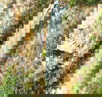 Private Tour - Rainforest  Waterfalls Extravaganza - Hotel QLD