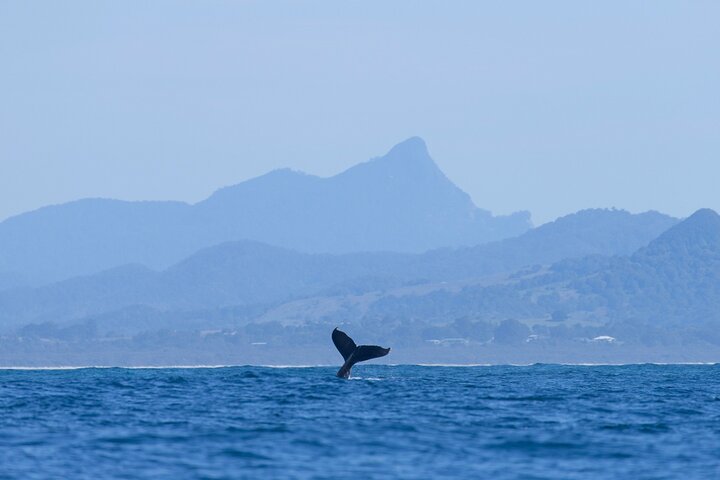 Byron Bay NSW Hotel QLD