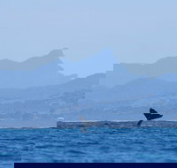 The Byron Bay Sea Kayak Tour - Hotel QLD