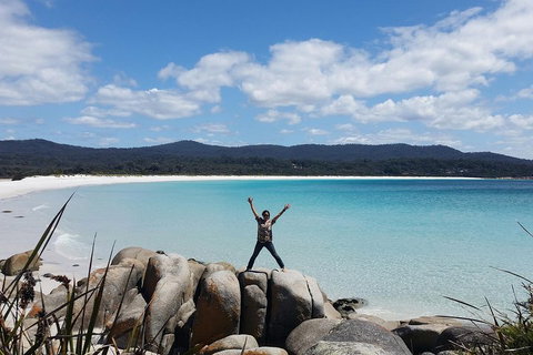 Tasmania 4 Day East Coast + Launceston - Hotel QLD 1