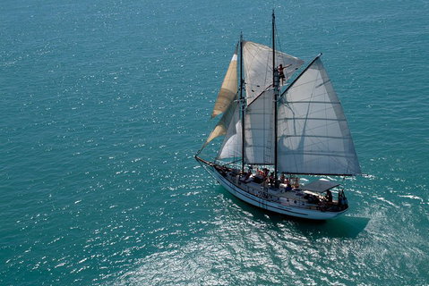 Whitehaven Beach Sailing And Snorkeling Cruise - Hotel QLD 1