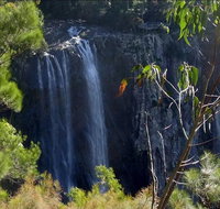 Byron Bay Hinterland Tour Including Rainforest Walk to Minyon Falls - Hotel QLD
