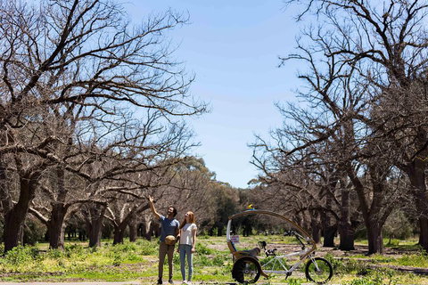 Adelaide 90-Minute Pedicab Tour: Scenic Green & River Experience - Hotel QLD 1