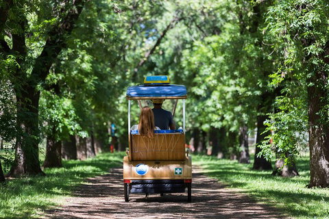 Adelaide 90-Minute Pedicab Tour: Scenic Green & River Experience - Hotel QLD 2