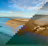 Town of 1770 Afternoon Cruise - Hotel QLD