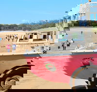 1770 Coastline Tour by LARC Amphibious Vehicle Including Picnic Lunch - Hotel QLD